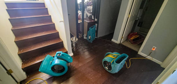 Best Sewage cleanup and water damage restoration  in Russell Springs, KY