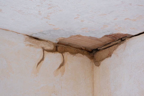 Best Water damage restoration near me  in Russell Springs, KY