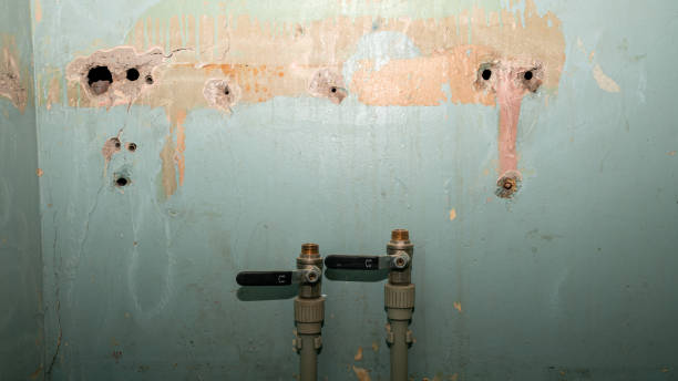 Best Ceiling water damage repair  in Russell Springs, KY