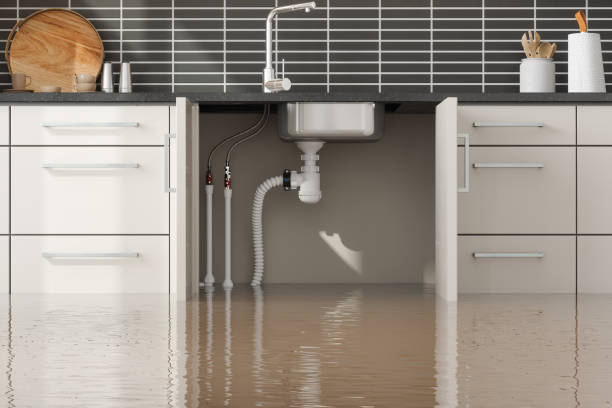 Best Flood damage cleanup  in Russell Springs, KY