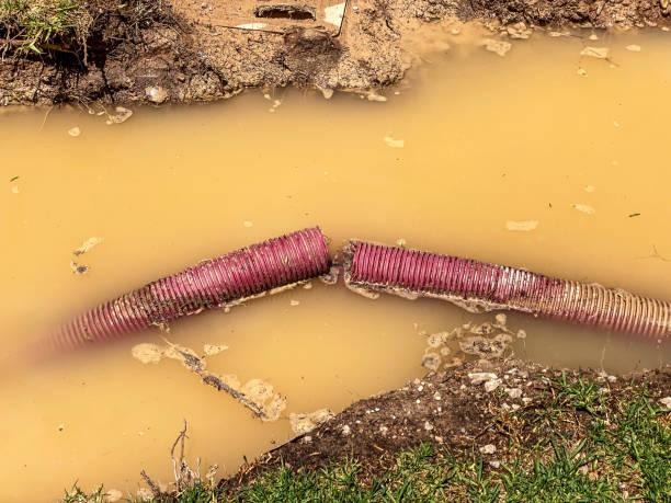 Best Carpet water damage restoration  in Russell Springs, KY