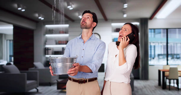 Best Water damage restoration cost  in Russell Springs, KY